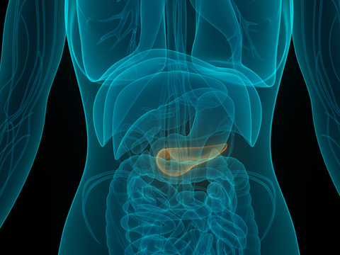 Pancreatic Cancer